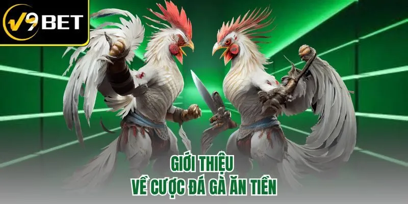 Giới thiệu về cược đá gà ăn tiền